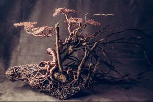 Бонсай ручної роботи - Опис