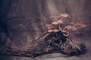 Бонсай ручної роботи - Опис