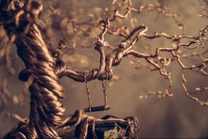 Спокій - Опис