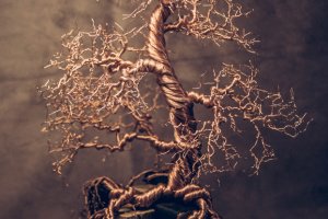 Спокій - Опис