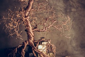 Спокій - Опис