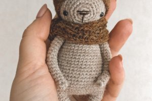 Маленький карманный мишка - Описание