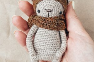 Маленький карманный мишка - Описание