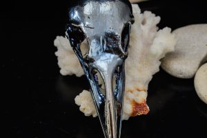 Кулон "Череп вороны" 88.71 - Описание