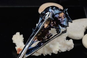 Кулон "Череп вороны" 88.71 - Описание