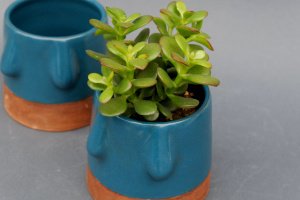 Керамічний бірюзовий вазон для квітів - Опис