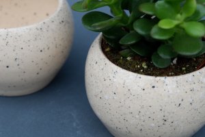 Керамічний бежевий вазон для квітів - Опис