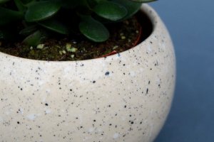 Керамічний бежевий вазон для квітів - Опис