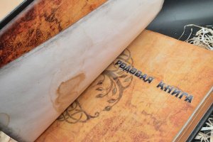 Сімейна книга - Опис