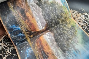 Сімейна книга - Опис