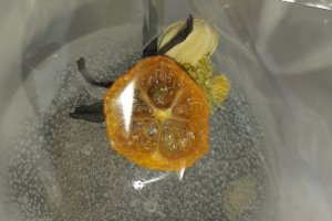 Чай сувенирный. Чайные наборы. Чай - Описание