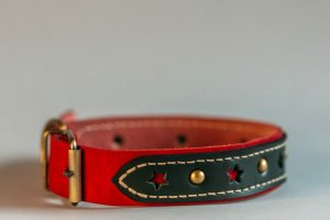 Нашийник для собак Star - Описание