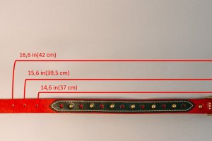 Нашийник для собак Star - Описание