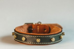 Собачий ошейник Bullet  - Описание