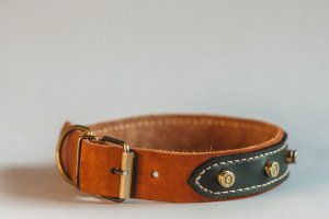 Собачий ошейник Bullet  - Описание