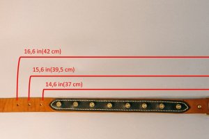 Собачий ошейник Bullet  - Описание
