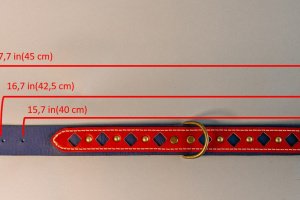 Собачий ошейник Rocket - Описание