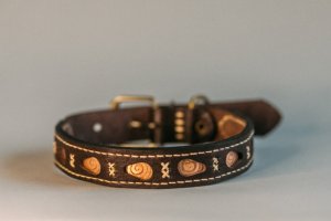 Собачий ошейник Curl - Описание