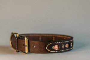 Собачий ошейник Curl - Описание