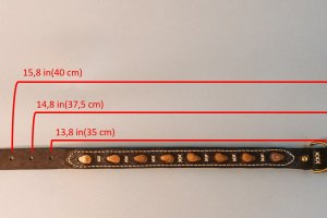 Собачий ошейник Curl - Описание