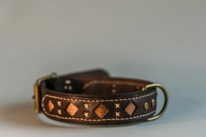 Собачий ошейник Wave - Описание