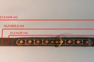 Собачий ошейник Wave - Описание