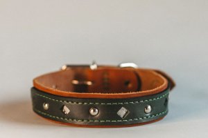 Собачий ошийник Silver - Опис