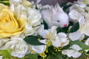 Весняний кошик - Опис
