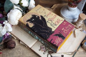 Дракон шкатулка книга - Описание