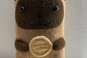 Котик Рональд с печенькой - Описание