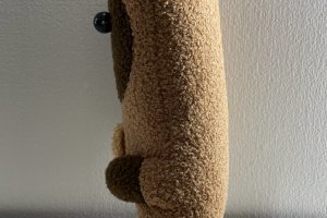 Котик Рональд с печенькой - Описание