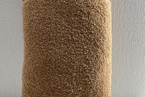 Котик Рональд с печенькой - Описание