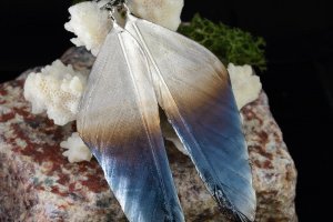 Серьги "Ночная птица" 89/62 - Описание