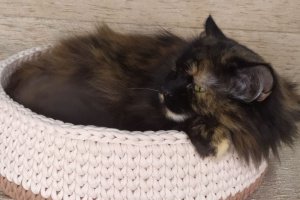 Лежаки для котика Ліжко для кота - Опис