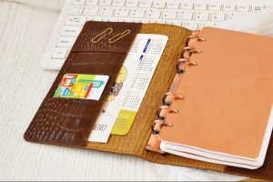 Шкіра. Модель "Classic", Віскі Кроко (Personal) - Опис