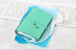 Шкіряний блокнот для подорожей Midori, Ментол (Passport) - Опис