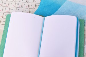 Шкіряний блокнот для подорожей Midori, Ментол (Passport) - Опис