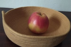 Тарілочки - Опис