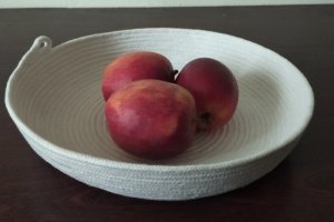 Тарілочки - Опис