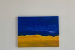 українська єдність - Опис