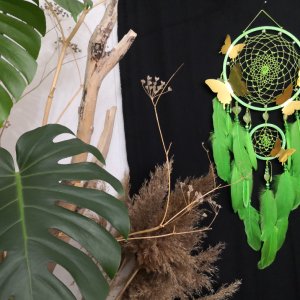 Работа 3D бабочка ловец снов