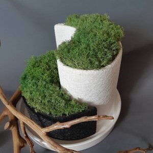 Робота Інь і янь