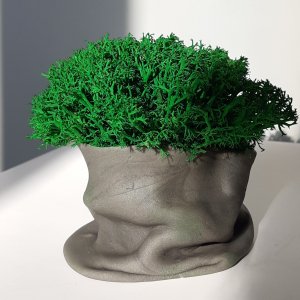 Робота Кашпо з стабілізованою мохом