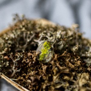 Работа подвеска мох