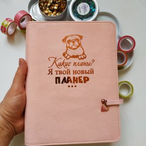 Работа Планеры в год "Мопс"