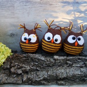 Робота В'язані "Сови"