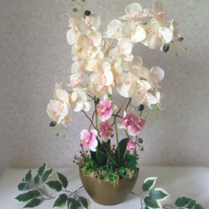 Робота Композиція з орхідеями в кашпо