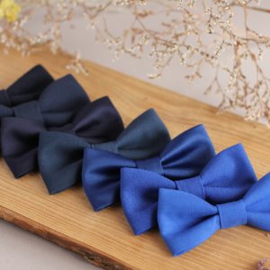 Работа бабочки синие