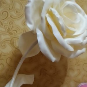 Работа Роза