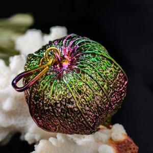 Робота Кулон: "Райдужний фізаліс" 85/32